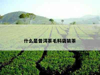 什么是普洱茶毛料袋装茶