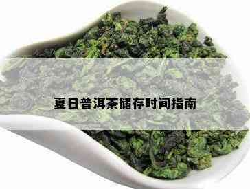 夏日普洱茶储存时间指南