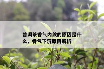 普洱茶香气内敛的原因是什么，香气下沉原因解析