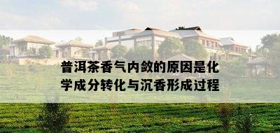 普洱茶香气内敛的原因是化学成分转化与沉香形成过程