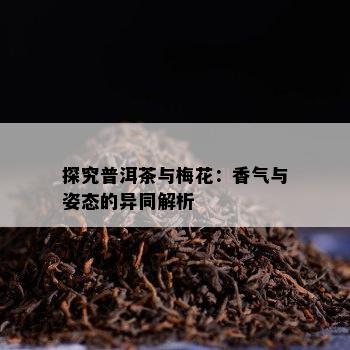 探究普洱茶与梅花：香气与姿态的异同解析