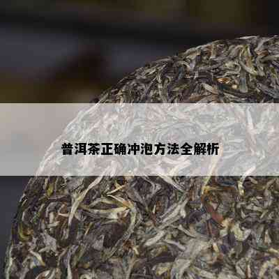 普洱茶正确冲泡方法全解析