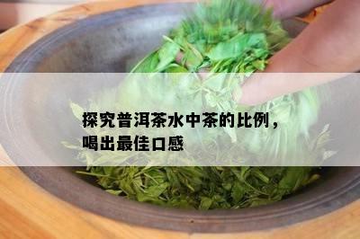 探究普洱茶水中茶的比例，喝出更佳口感