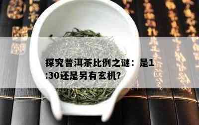 探究普洱茶比例之谜：是1:30还是另有玄机？