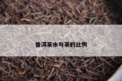 普洱茶水与茶的比例