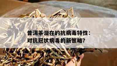 普洱茶潜在的抗病特性：对抗冠状病的新策略？