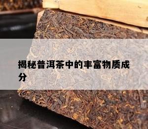 揭秘普洱茶中的丰富物质成分