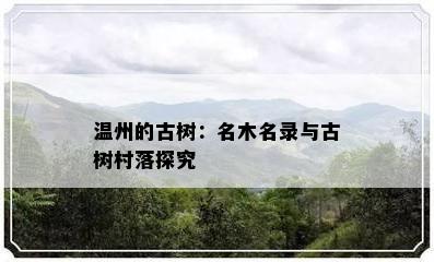 温州的古树：名木名录与古树村落探究