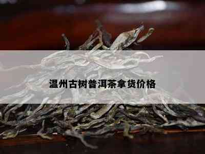 温州古树普洱茶拿货价格