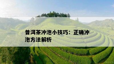 普洱茶冲泡小技巧：正确冲泡方法解析