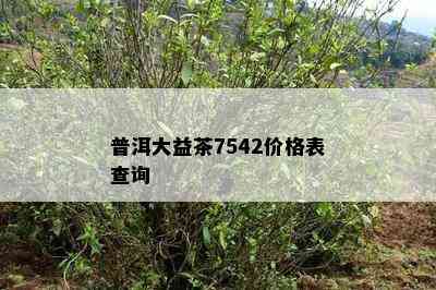 普洱大益茶7542价格表查询