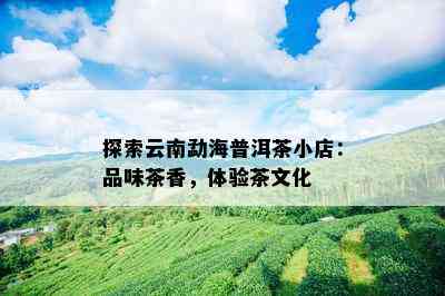 探索云南勐海普洱茶小店：品味茶香，体验茶文化