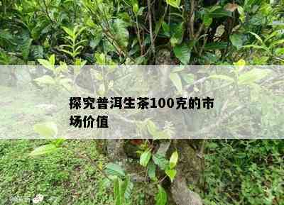 探究普洱生茶100克的市场价值