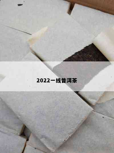 2022一线普洱茶