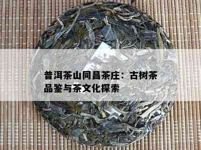 普洱茶山同昌茶庄：古树茶品鉴与茶文化探索