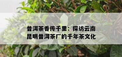 普洱茶香传千里：探访云南昆明普洱茶厂的千年茶文化