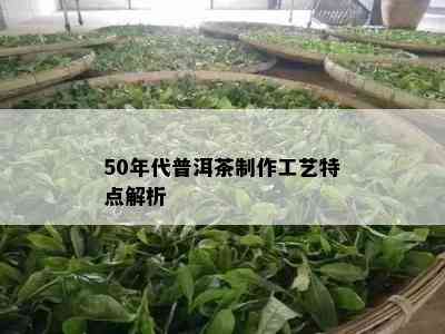 50年代普洱茶制作工艺特点解析