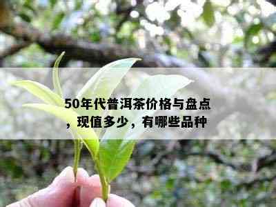 50年代普洱茶价格与盘点，现值多少，有哪些品种