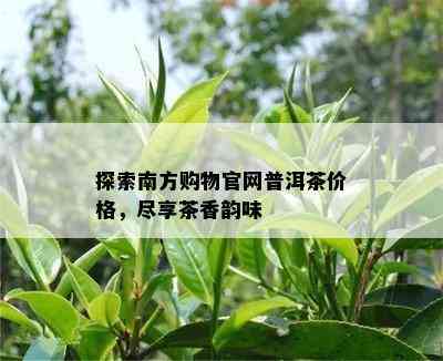 探索南方购物官网普洱茶价格，尽享茶香韵味