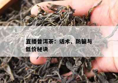 直播普洱茶：话术、防骗与低价秘诀