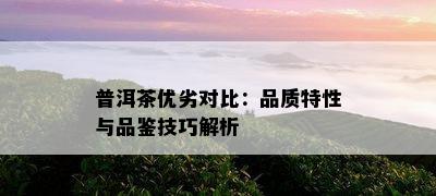 普洱茶优劣对比：品质特性与品鉴技巧解析