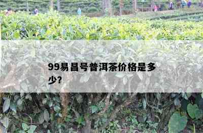 99易昌号普洱茶价格是多少？