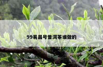 99易昌号普洱茶谁做的