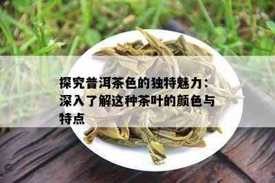 探究普洱茶色的独特魅力：深入了解这种茶叶的颜色与特点