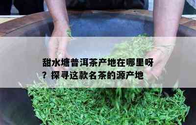 甜水塘普洱茶产地在哪里呀？探寻这款名茶的源产地