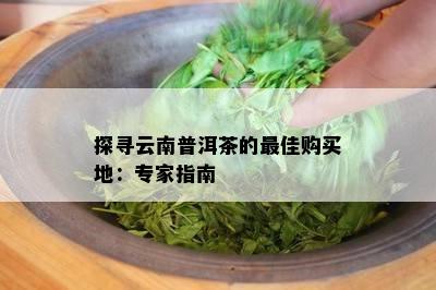 探寻云南普洱茶的更佳购买地：专家指南