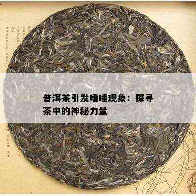 普洱茶引发嗜睡现象：探寻茶中的神秘力量