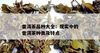 普洱茶品种大全：现实中的普洱茶种类及特点