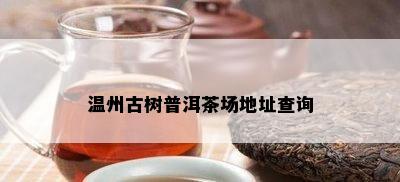 温州古树普洱茶场地址查询