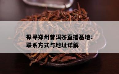 探寻郑州普洱茶直播基地：联系方式与地址详解