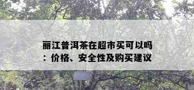 丽江普洱茶在超市买可以吗：价格、安全性及购买建议