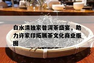 白水清独家普洱茶盛宴，助力许家印拓展茶文化商业版图