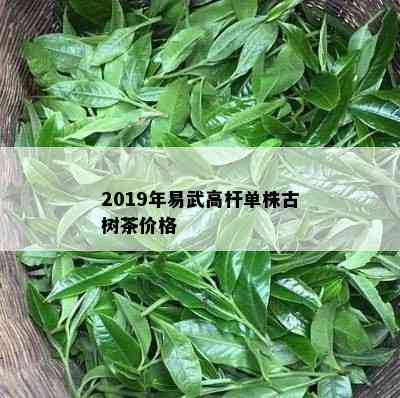 2019年易武高杆单株古树茶价格