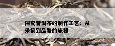 探究普洱茶的制作工艺：从采摘到品鉴的旅程