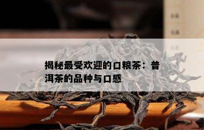 揭秘更受欢迎的口粮茶：普洱茶的品种与口感