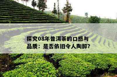 探究08年普洱茶的口感与品质：是否依旧令人陶醉？