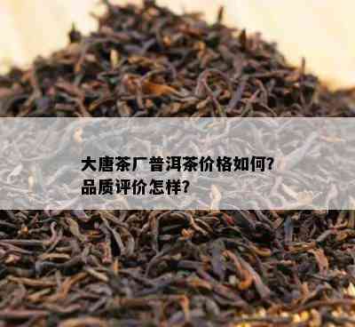 大唐茶厂普洱茶价格如何？品质评价怎样？