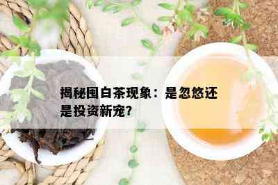 揭秘囤白茶现象：是忽悠还是投资新宠？