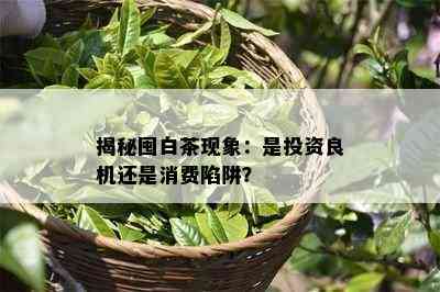 揭秘囤白茶现象：是投资良机还是消费陷阱？