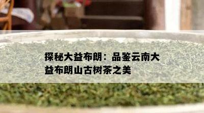 探秘大益布朗：品鉴云南大益布朗山古树茶之美