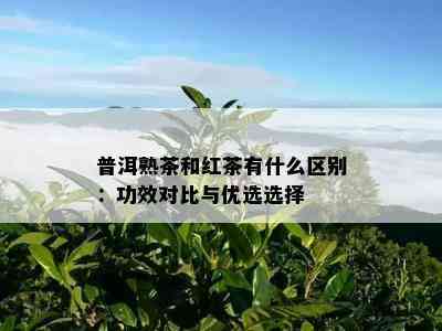 普洱熟茶和红茶有什么区别：功效对比与优选选择