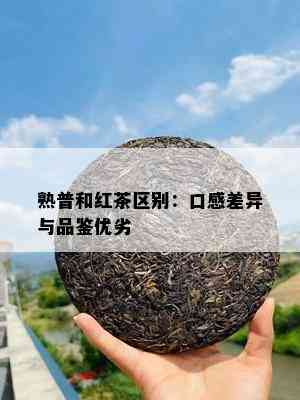 熟普和红茶区别：口感差异与品鉴优劣