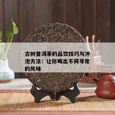 古树普洱茶的品饮技巧与冲泡方法：让你喝出不同寻常的风味