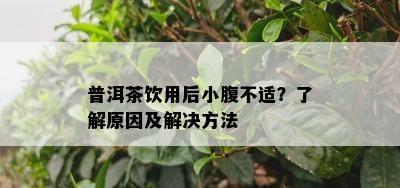 普洱茶饮用后小腹不适？了解原因及解决方法