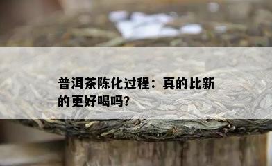 普洱茶陈化过程：真的比新的更好喝吗？