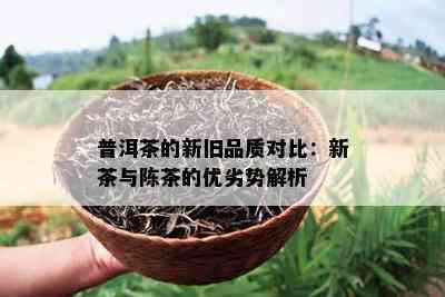 普洱茶的新旧品质对比：新茶与陈茶的优劣势解析